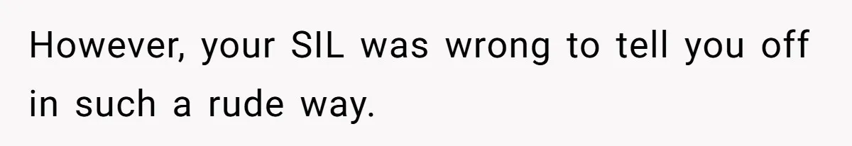 However, your SIL was wrong to tell you off in such a rude way.