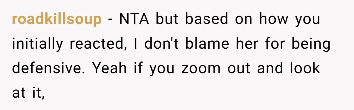 roadkillsoup − NTA but based on how you initially reacted, I don't blame her for being defensive. Yeah if you zoom out and look at it,