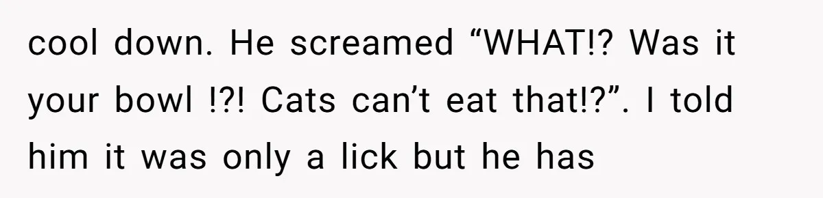 cool down. He screamed “WHAT!? Was it your bowl !?! Cats can’t eat that!?”. I told him it was only a lick but he has