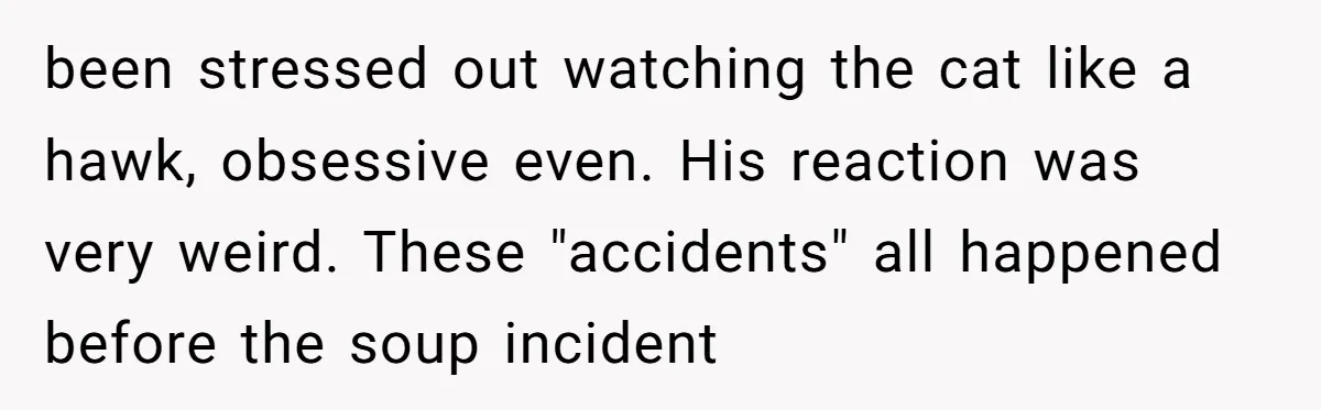 been stressed out watching the cat like a hawk, obsessive even. His reaction was very weird. These "accidents" all happened before the soup incident