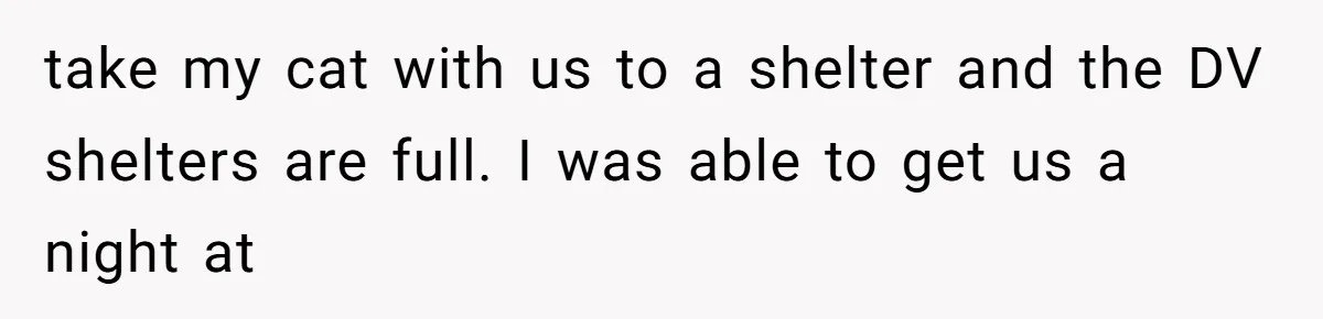 take my cat with us to a shelter and the DV shelters are full. I was able to get us a night at
