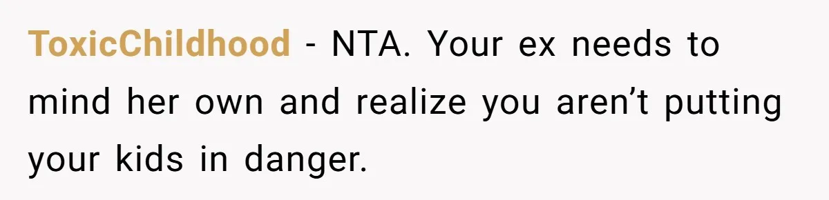 ToxicChildhood − NTA. Your ex needs to mind her own and realize you aren’t putting your kids in danger.