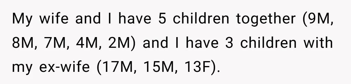 My wife and I have 5 children together (9M, 8M, 7M, 4M, 2M) and I have 3 children with my ex-wife (17M, 15M, 13F).