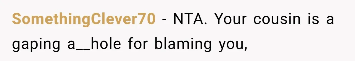 SomethingClever70 − NTA. Your cousin is a gaping a__hole for blaming you,