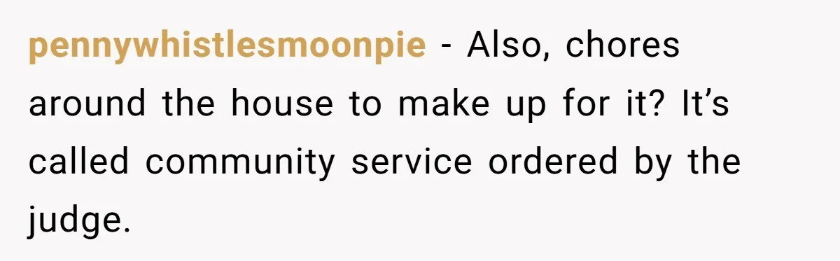 pennywhistlesmoonpie − Also, chores around the house to make up for it? It’s called community service ordered by the judge.