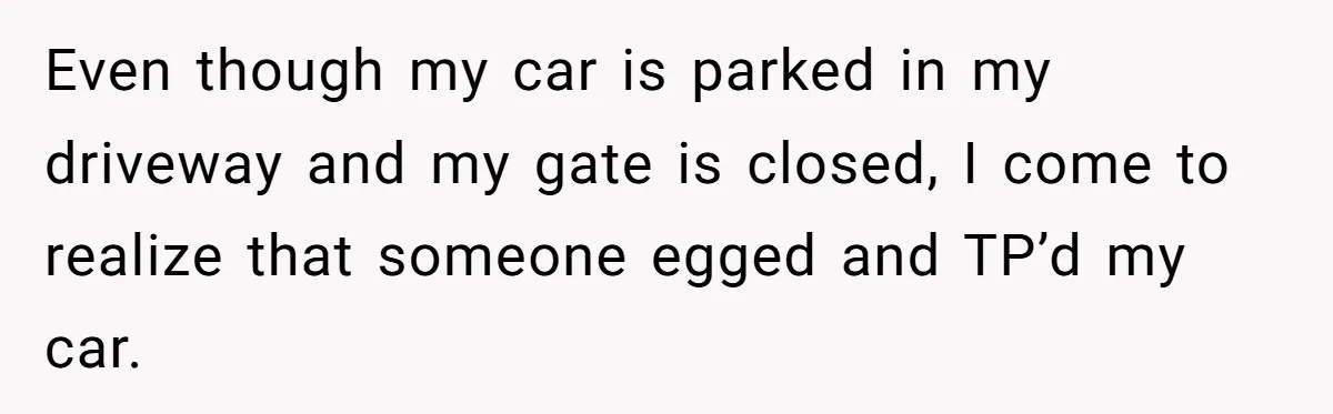 Even though my car is parked in my driveway and my gate is closed, I come to realize that someone egged and TP’d my car.