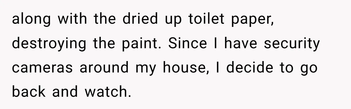 along with the dried up toilet paper, destroying the paint. Since I have security cameras around my house, I decide to go back and watch.