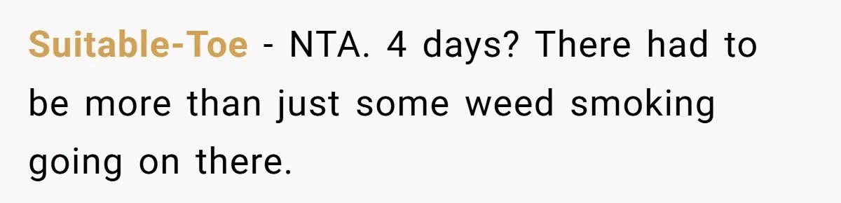 Suitable-Toe − NTA. 4 days? There had to be more than just some weed smoking going on there.