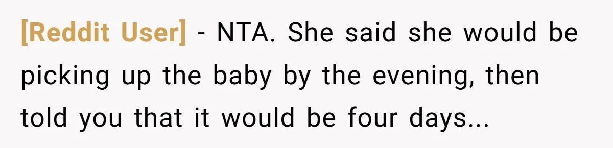 [Reddit User] − NTA. She said she would be picking up the baby by the evening, then told you that it would be four days...