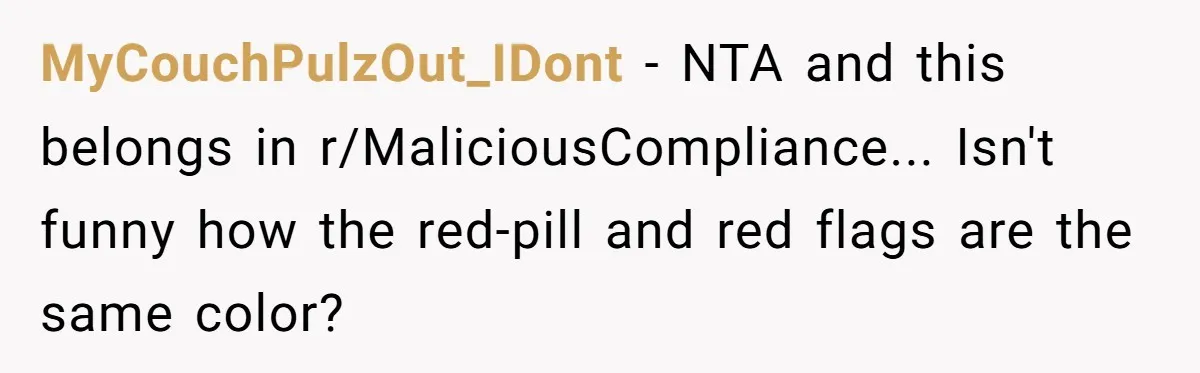 MyCouchPulzOut_IDont − NTA and this belongs in r/MaliciousCompliance... Isn't funny how the red-pill and red flags are the same color?