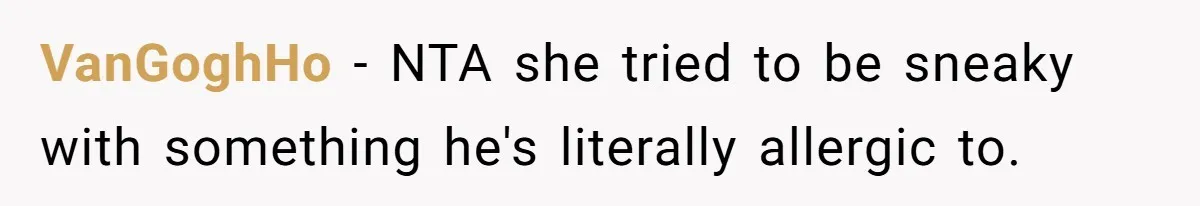 Mother-In-Law Brings an "Ice Cream Surprise" That Could Have Sent the Birthday Boy to the ER VanGoghHo − NTA she tried to be sneaky with something he's literally allergic to.