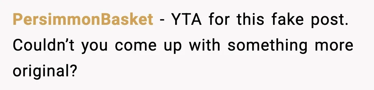 PersimmonBasket - YTA for this fake post. Couldn’t you come up with something more original?