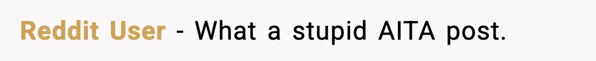 Reddit User - What a stupid AITA post.