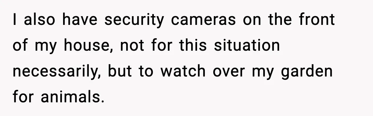 I also have security cameras on the front of my house, not for this situation necessarily, but to watch over my garden for animals.