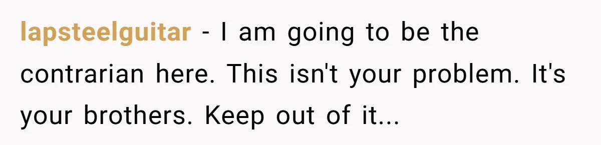 lapsteelguitar − I am going to be the contrarian here. This isn't your problem. It's your brothers. Keep out of it...
