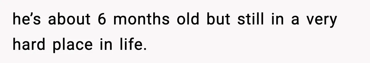 he’s about 6 months old but still in a very hard place in life.