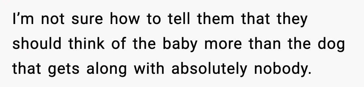 I’m not sure how to tell them that they should think of the baby more than the dog that gets along with absolutely nobody.