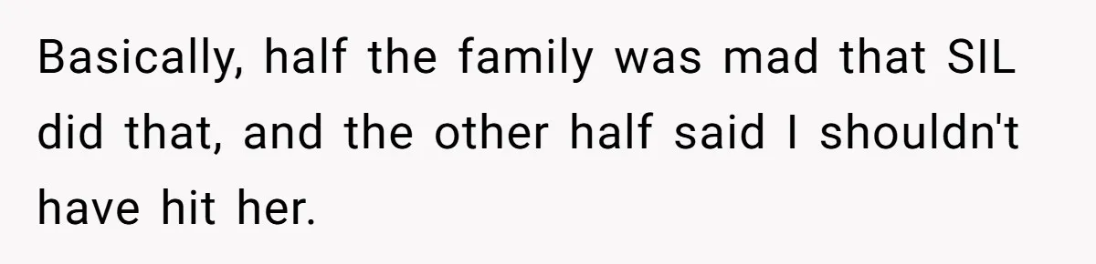Basically, half the family was mad that SIL did that, and the other half said I shouldn't have hit her.