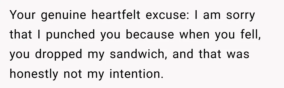 Your genuine heartfelt excuse: I am sorry that I punched you because when you fell, you dropped my sandwich, and that was honestly not my intention.
