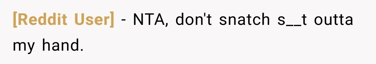 [Reddit User] − NTA, don't snatch s__t outta my hand.