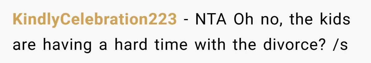 KindlyCelebration223 − NTA Oh no, the kids are having a hard time with the divorce? /s