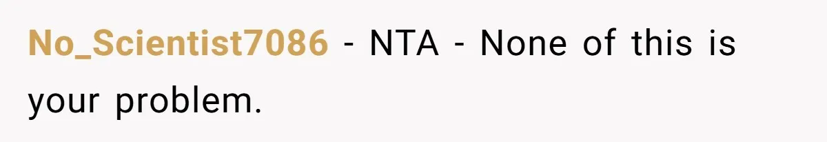 No_Scientist7086 − NTA - None of this is your problem.