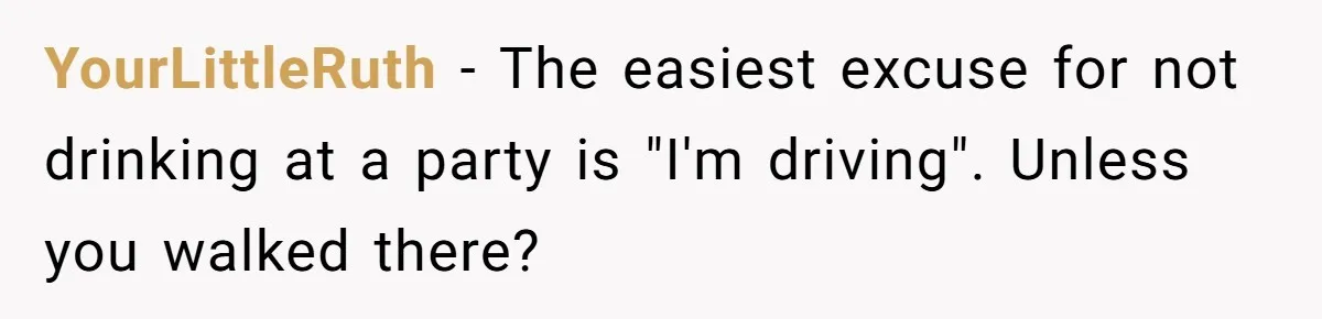 YourLittleRuth − The easiest excuse for not drinking at a party is "I'm driving". Unless you walked there?