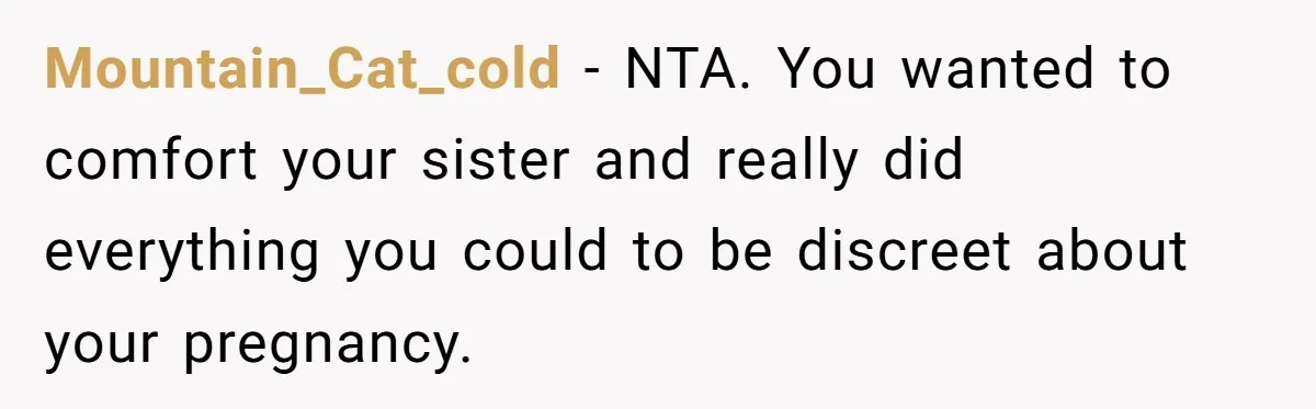 Mountain_Cat_cold − NTA. You wanted to comfort your sister and really did everything you could to be discreet about your pregnancy.