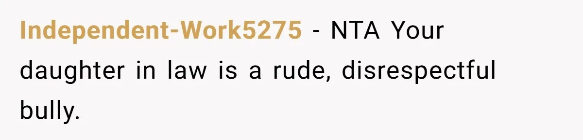 Independent-Work5275 − NTA Your daughter in law is a rude, disrespectful bully.
