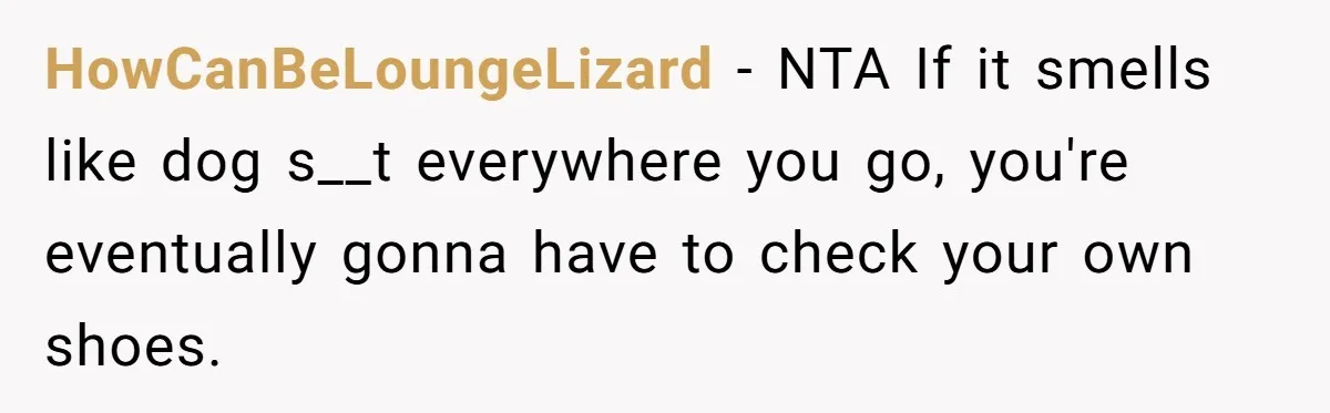 HowCanBeLoungeLizard − NTA If it smells like dog s__t everywhere you go, you're eventually gonna have to check your own shoes.