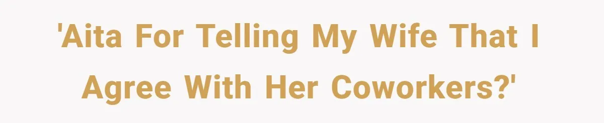 'AITA for telling my wife that I agree with her coworkers?'