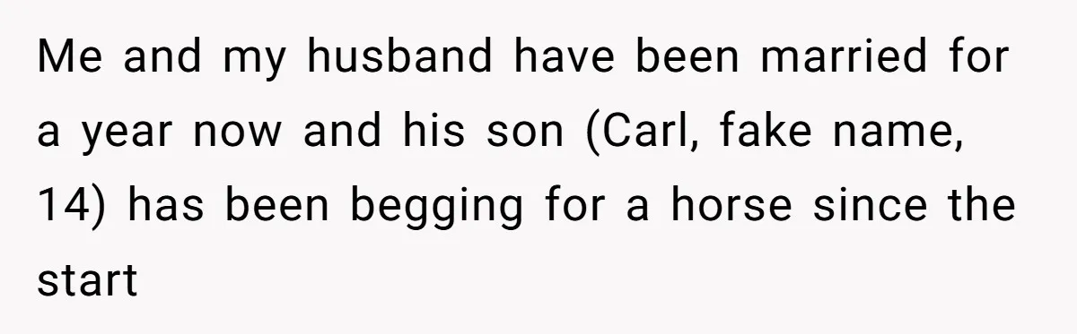 Me and my husband have been married for a year now and his son (Carl, fake name, 14) has been begging for a horse since the start