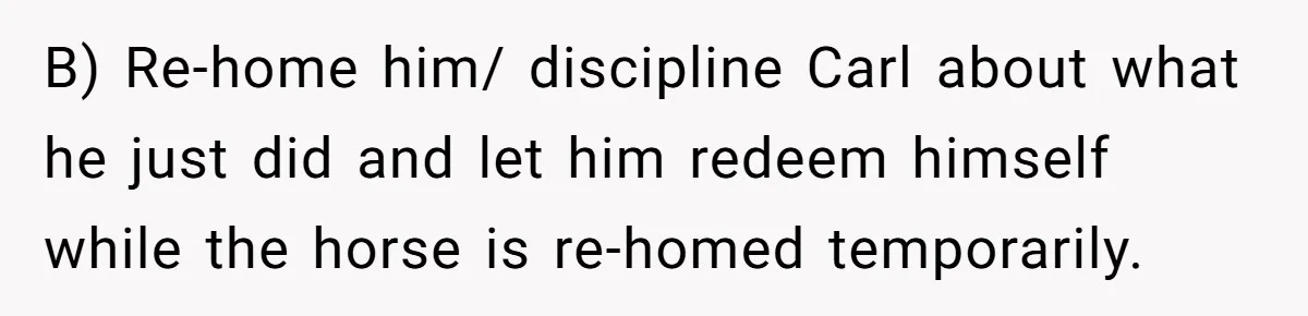 B) Re-home him/ discipline Carl about what he just did and let him redeem himself while the horse is re-homed temporarily.