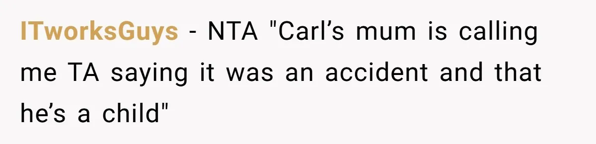 ITworksGuys − NTA "Carl’s mum is calling me TA saying it was an accident and that he’s a child"