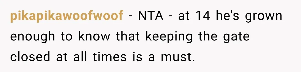 pikapikawoofwoof − NTA - at 14 he's grown enough to know that keeping the gate closed at all times is a must.