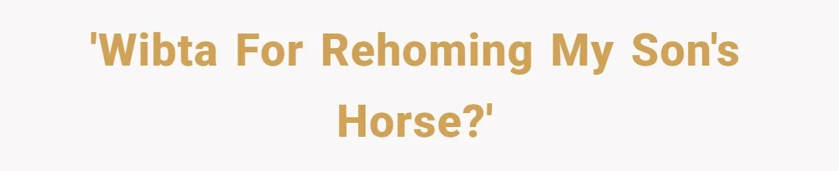 'WIBTA for rehoming my son's horse?'