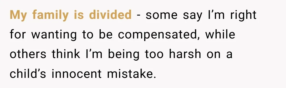 My family is divided - some say I’m right for wanting to be compensated, while others think I’m being too harsh on a child’s innocent mistake.