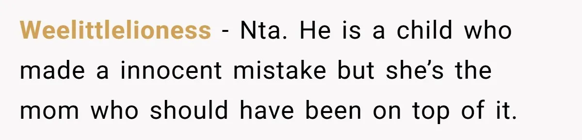 Weelittlelioness − Nta. He is a child who made a innocent mistake but she’s the mom who should have been on top of it.