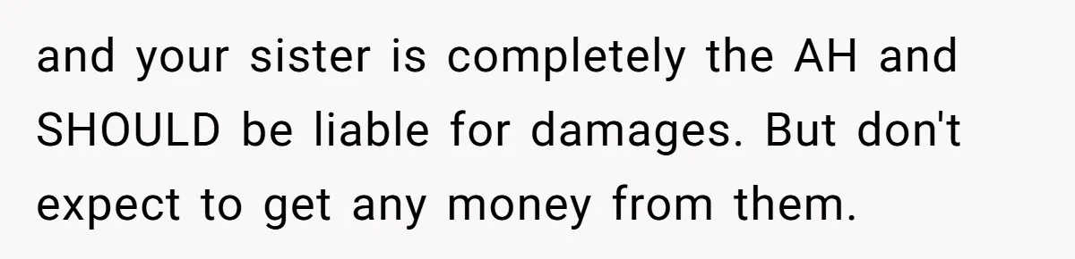 and your sister is completely the AH and SHOULD be liable for damages. But don't expect to get any money from them.