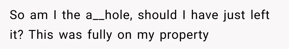 So am I the a__hole, should I have just left it? This was fully on my property