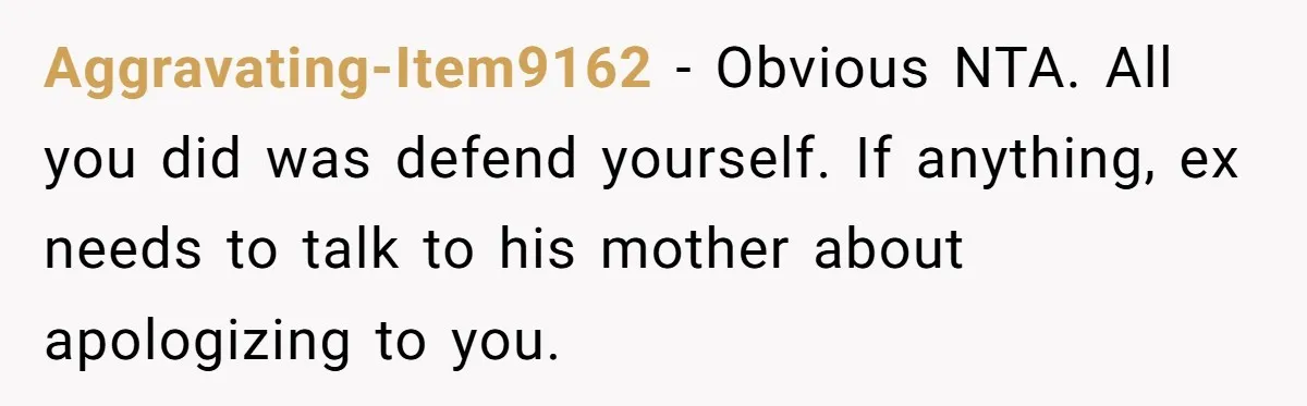 Aggravating-Item9162 − Obvious NTA. All you did was defend yourself. If anything, ex needs to talk to his mother about apologizing to you.