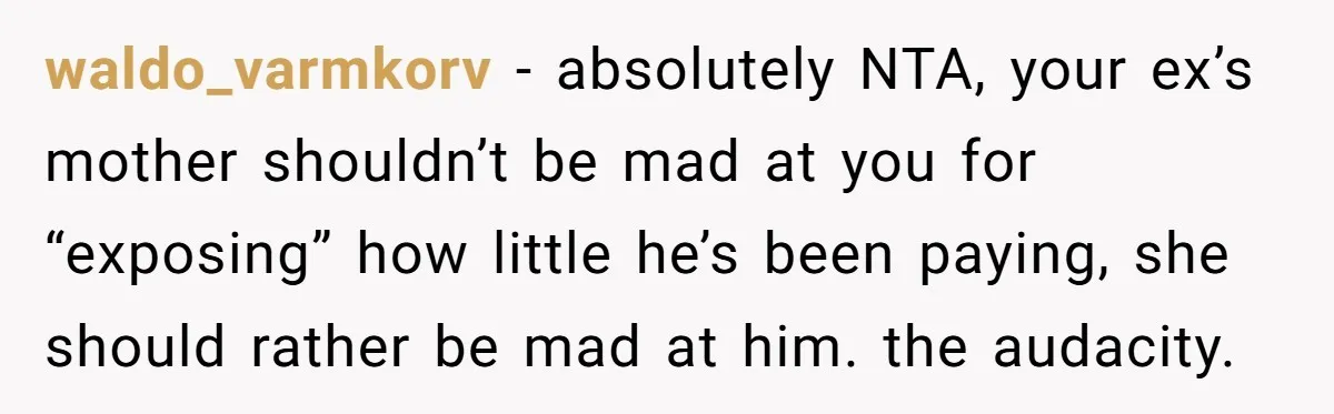 waldo_varmkorv − absolutely NTA, your ex’s mother shouldn’t be mad at you for “exposing” how little he’s been paying, she should rather be mad at him. the audacity.