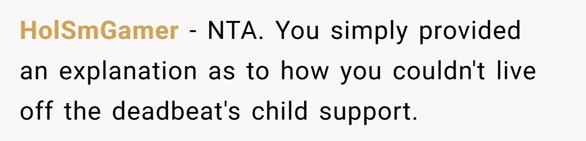 HolSmGamer − NTA. You simply provided an explanation as to how you couldn't live off the deadbeat's child support.