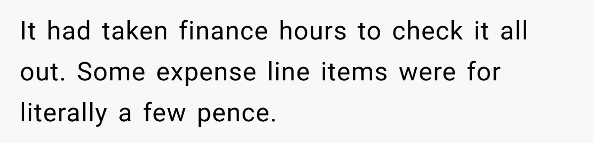 It had taken finance hours to check it all out. Some expense line items were for literally a few pence.