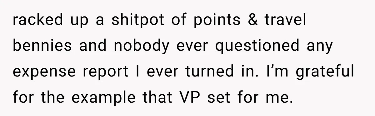 racked up a shitpot of points & travel bennies and nobody ever questioned any expense report I ever turned in. I’m grateful for the example that VP set for me.