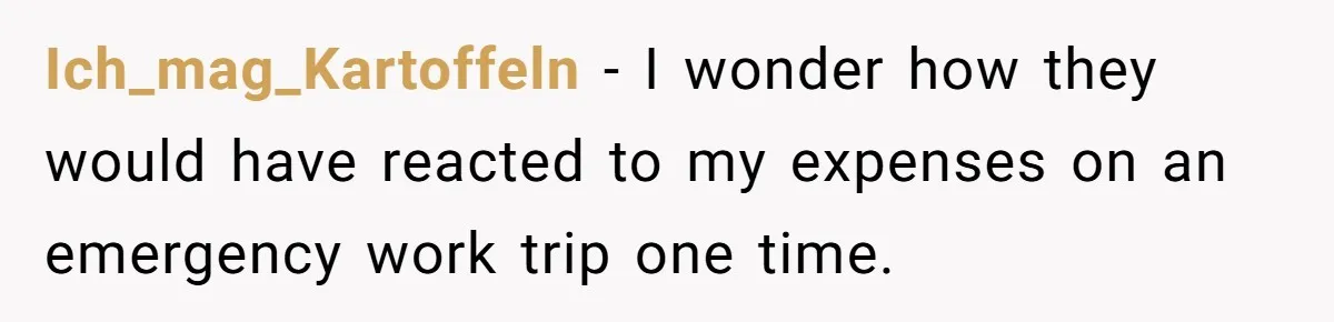 Ich_mag_Kartoffeln − I wonder how they would have reacted to my expenses on an emergency work trip one time.