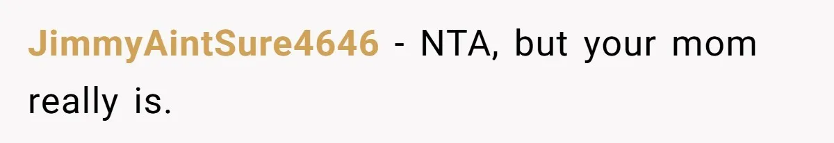 JimmyAintSure4646 − NTA, but your mom really is.