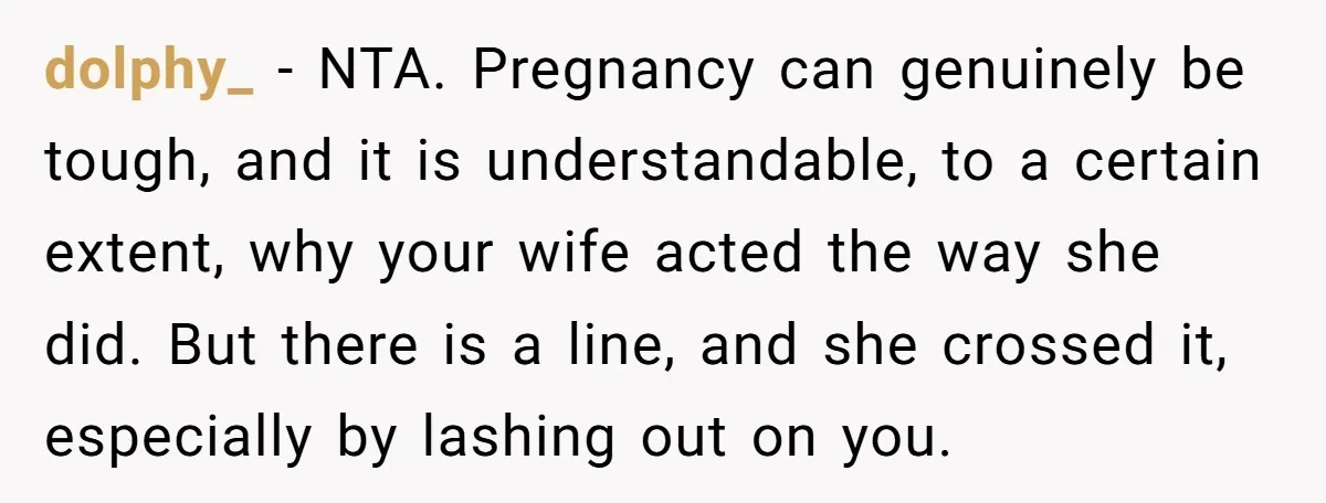 dolphy_ − NTA. Pregnancy can genuinely be tough, and it is understandable, to a certain extent, why your wife acted the way she did. But there is a line, and...