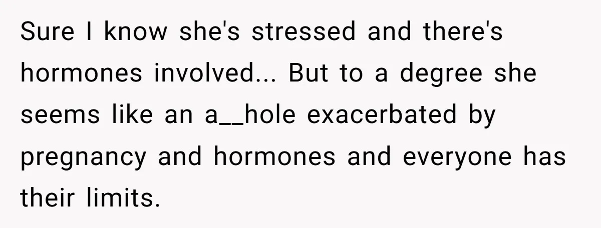 Sure I know she's stressed and there's hormones involved... But to a degree she seems like an a__hole exacerbated by pregnancy and hormones and everyone has their limits.