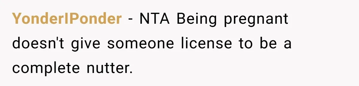 YonderIPonder − NTA Being pregnant doesn't give someone license to be a complete nutter.